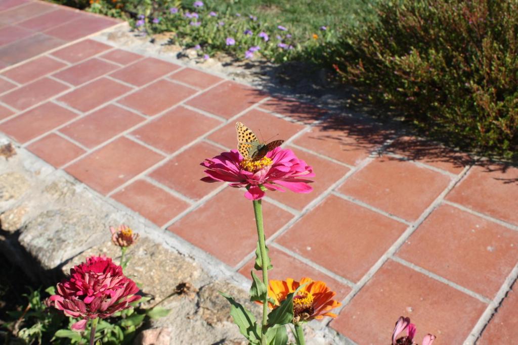 Apartamentos El Jardin Del Poeta Guijo de Granadilla Екстериор снимка