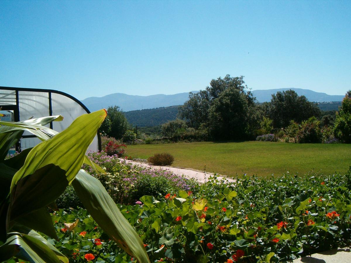 Apartamentos El Jardin Del Poeta Guijo de Granadilla Екстериор снимка
