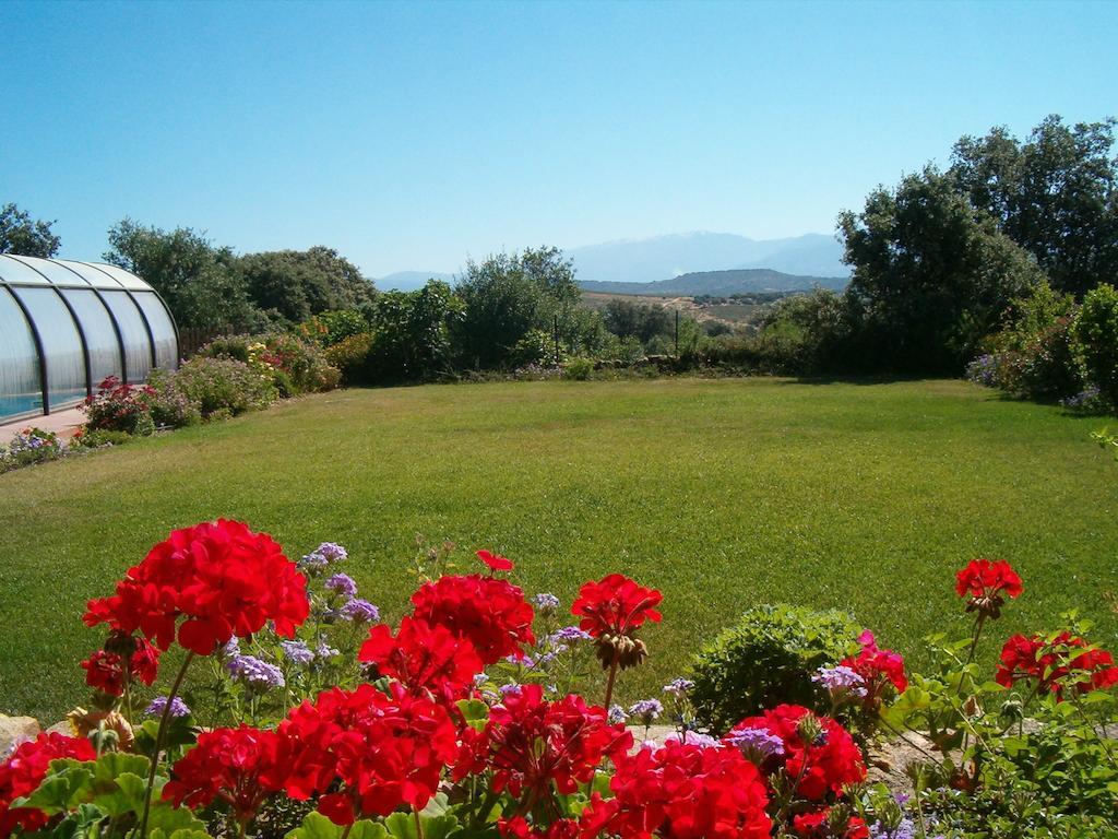 Apartamentos El Jardin Del Poeta Guijo de Granadilla Екстериор снимка