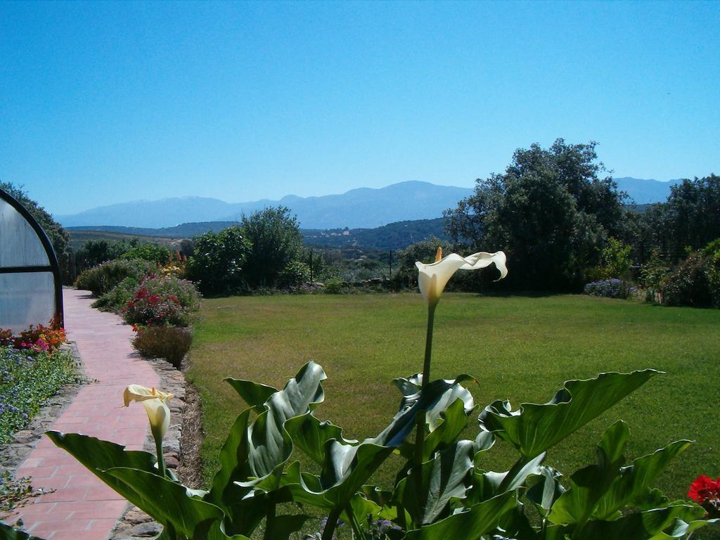 Apartamentos El Jardin Del Poeta Guijo de Granadilla Екстериор снимка